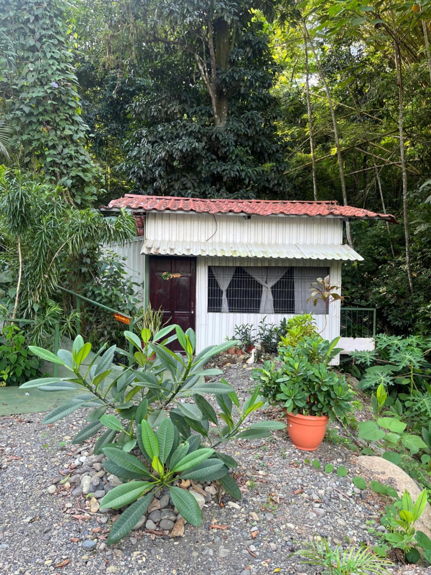Casa Escondida Apartments 曼努埃尔安东尼奥 外观 照片